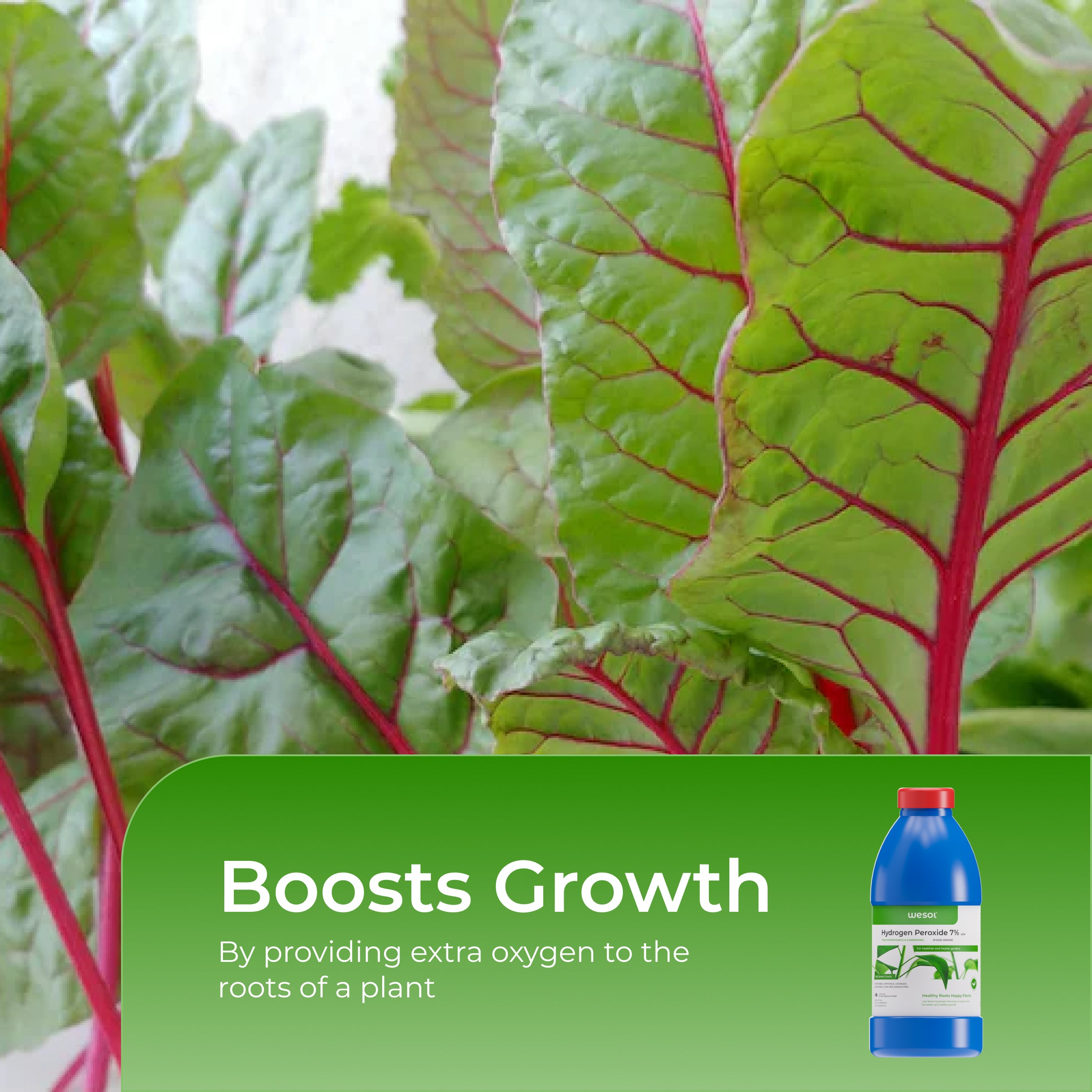 Hydrogen Peroxide 7% for Plants