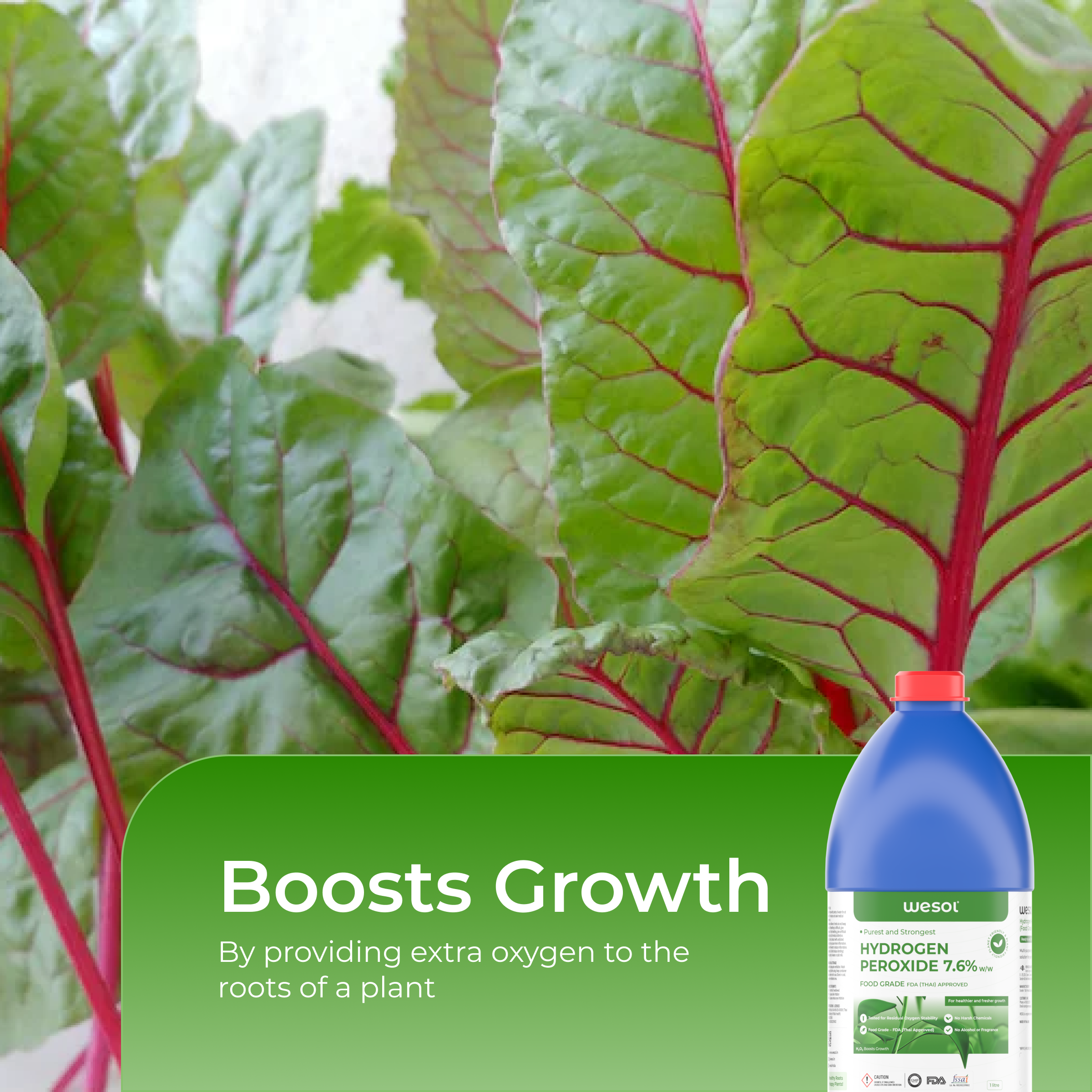 Hydrogen Peroxide 7% for Plants