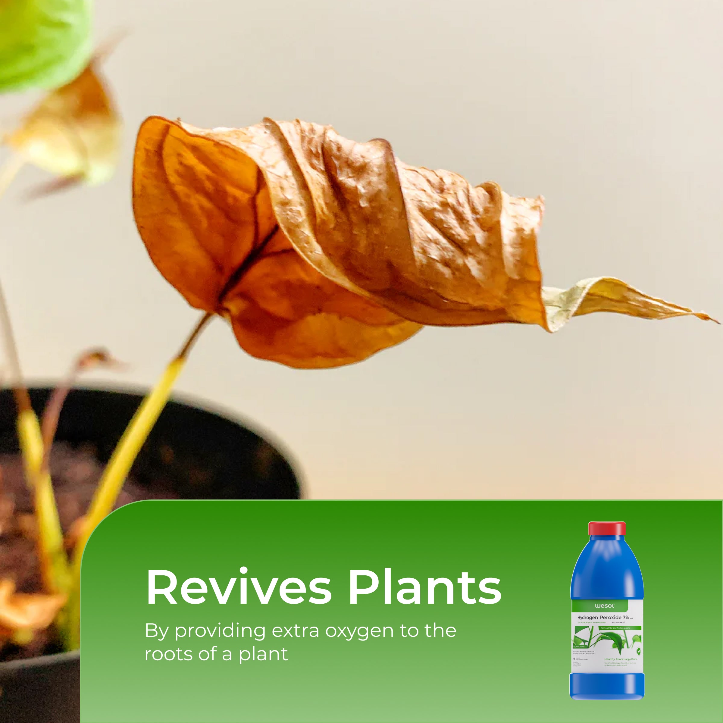 Hydrogen Peroxide 7% for Plants