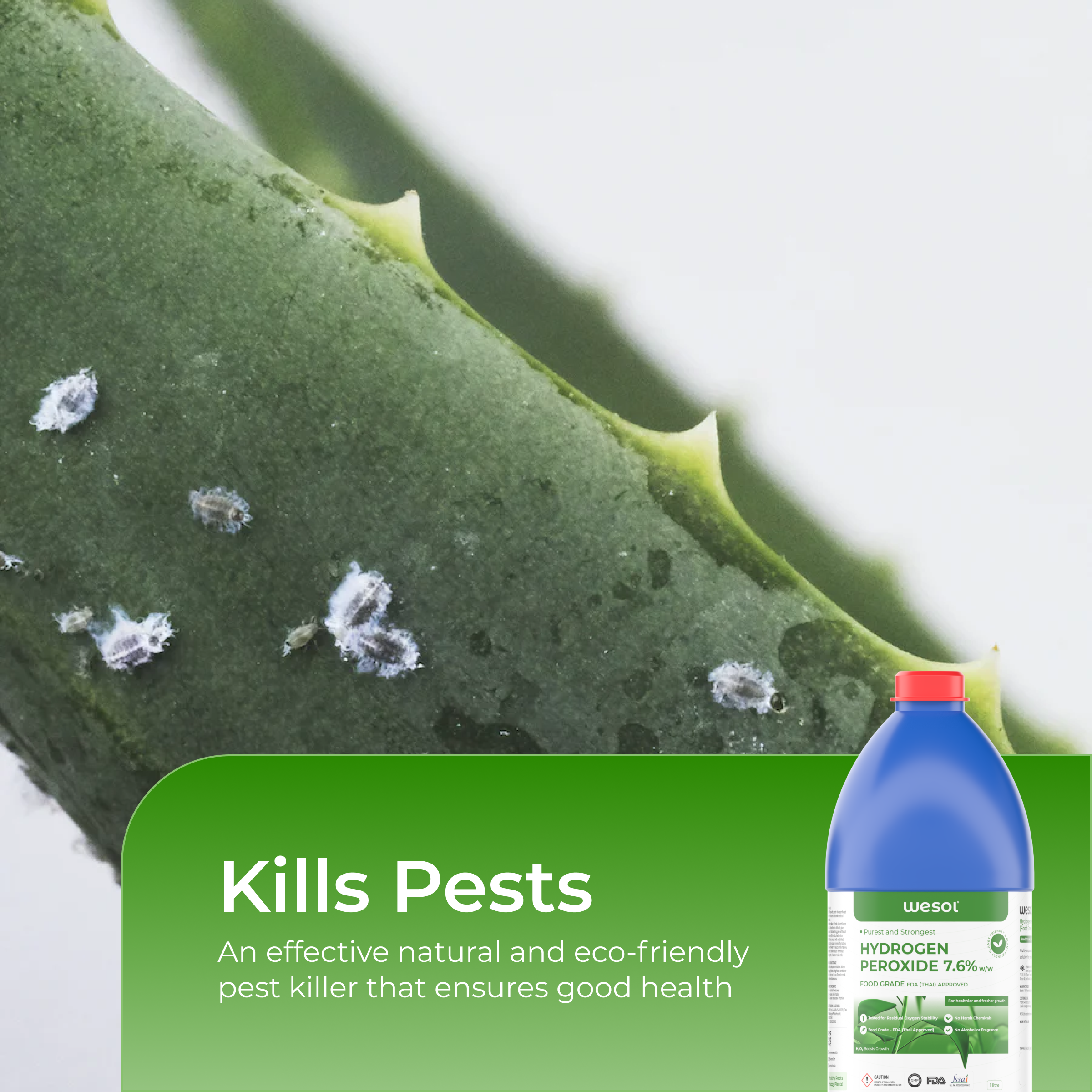 Hydrogen Peroxide 7% for Plants