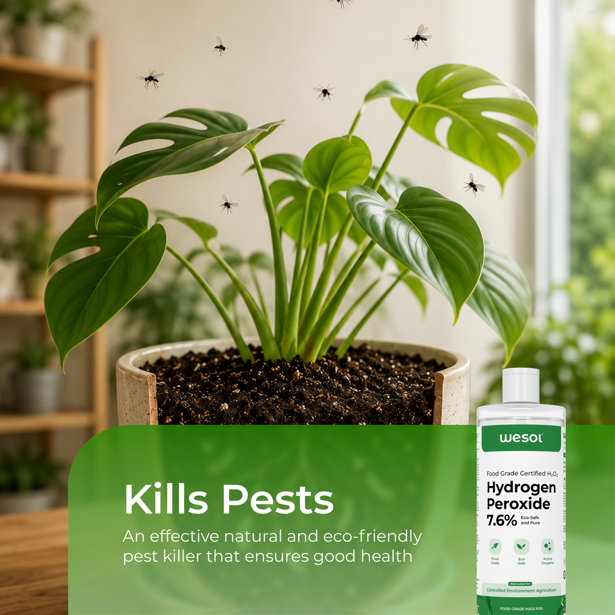 Wesol Hydrogen Peroxide 7% for Plants | 1 Litre