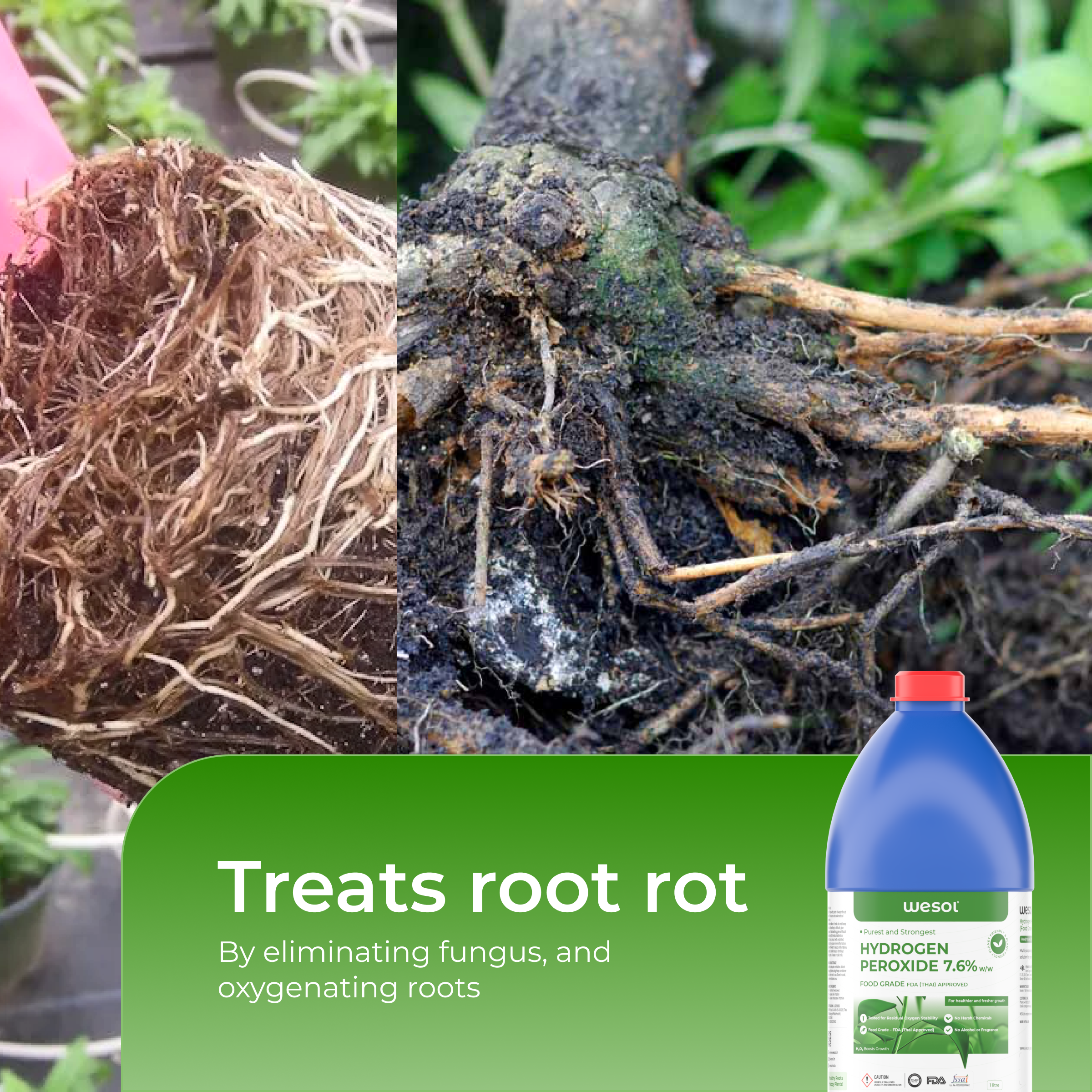 Hydrogen Peroxide 7% for Plants