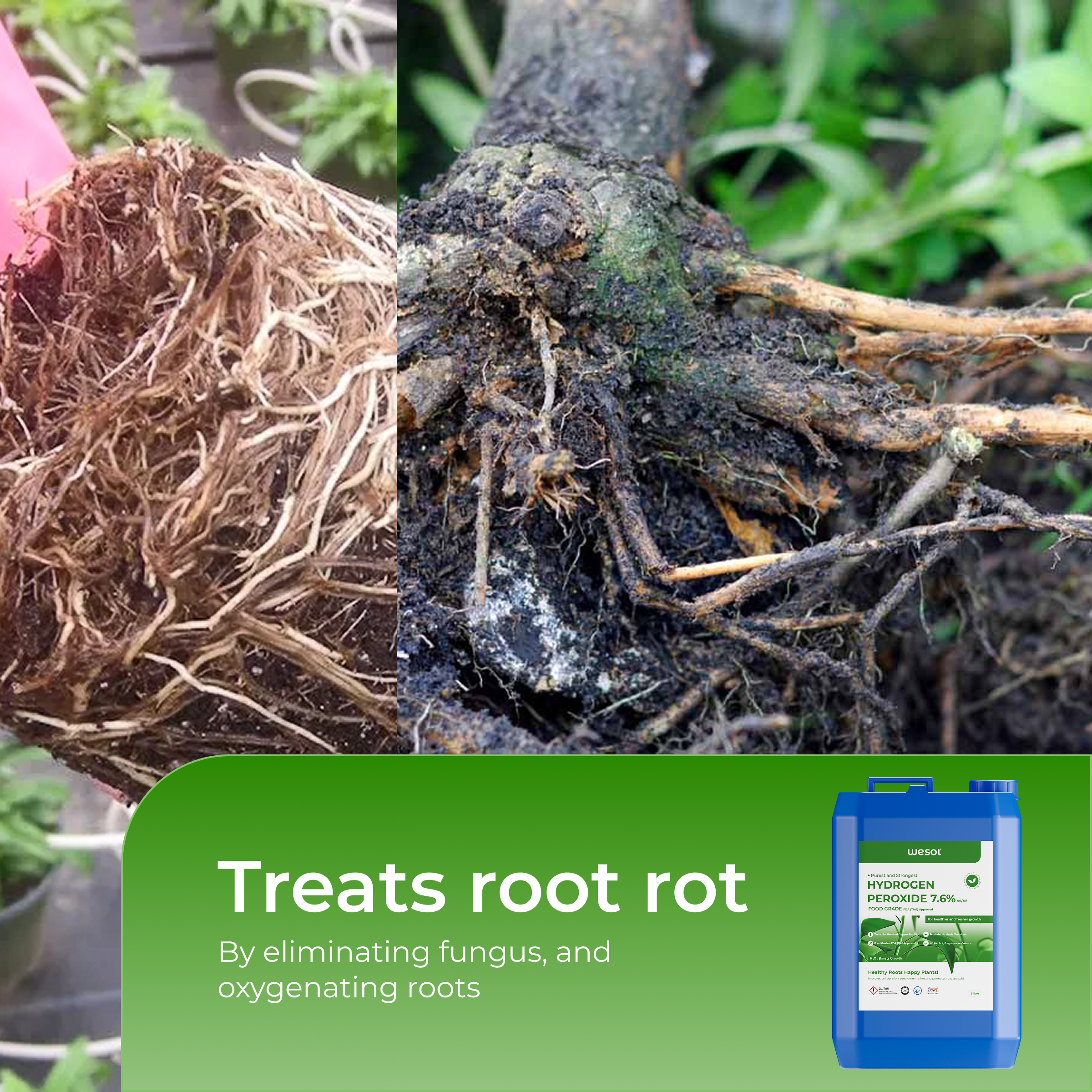 Hydrogen Peroxide 7% for Plants