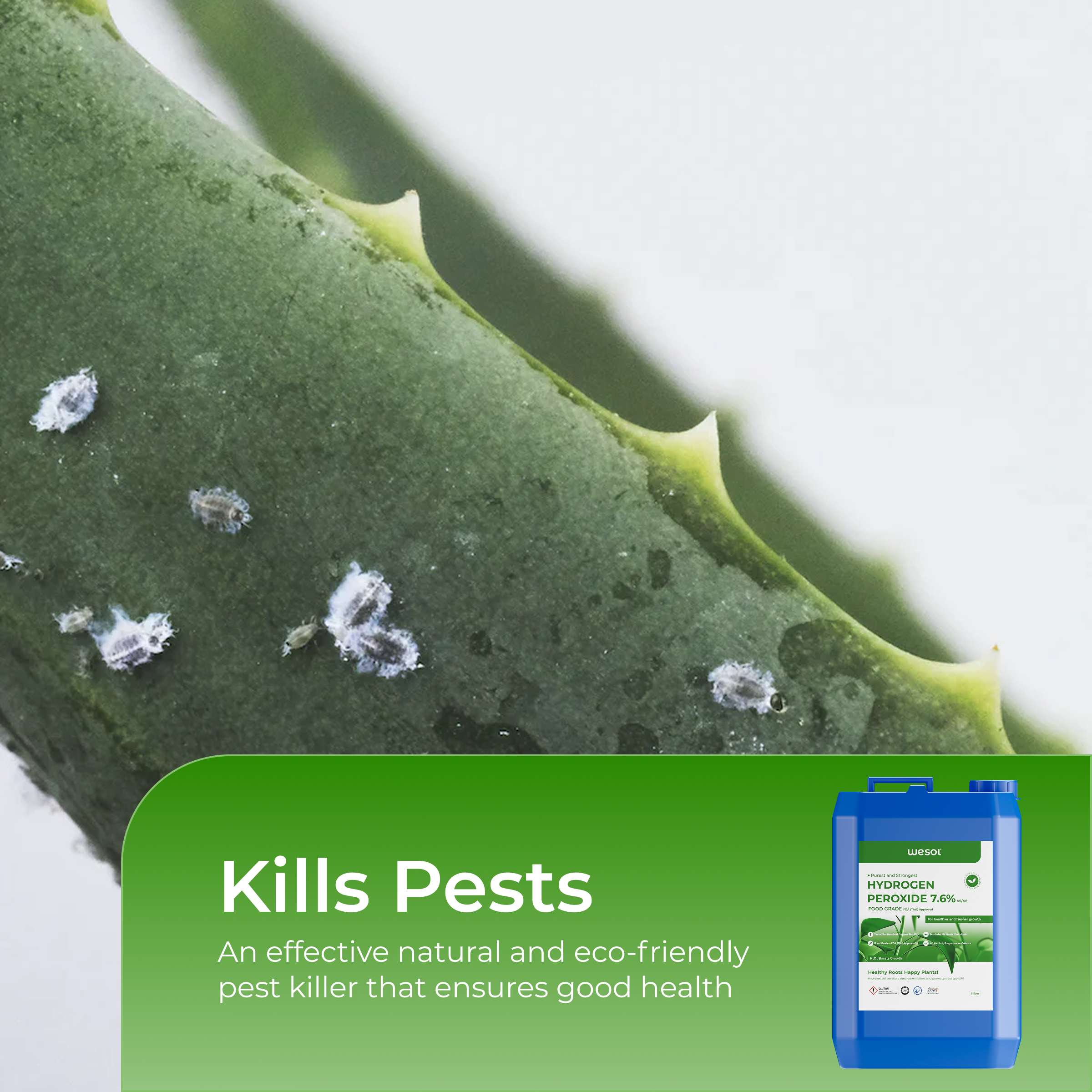 Hydrogen Peroxide 7% for Plants