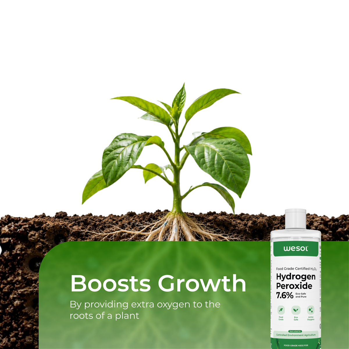 Wesol Hydrogen Peroxide 7% for Plants | 1 Litre