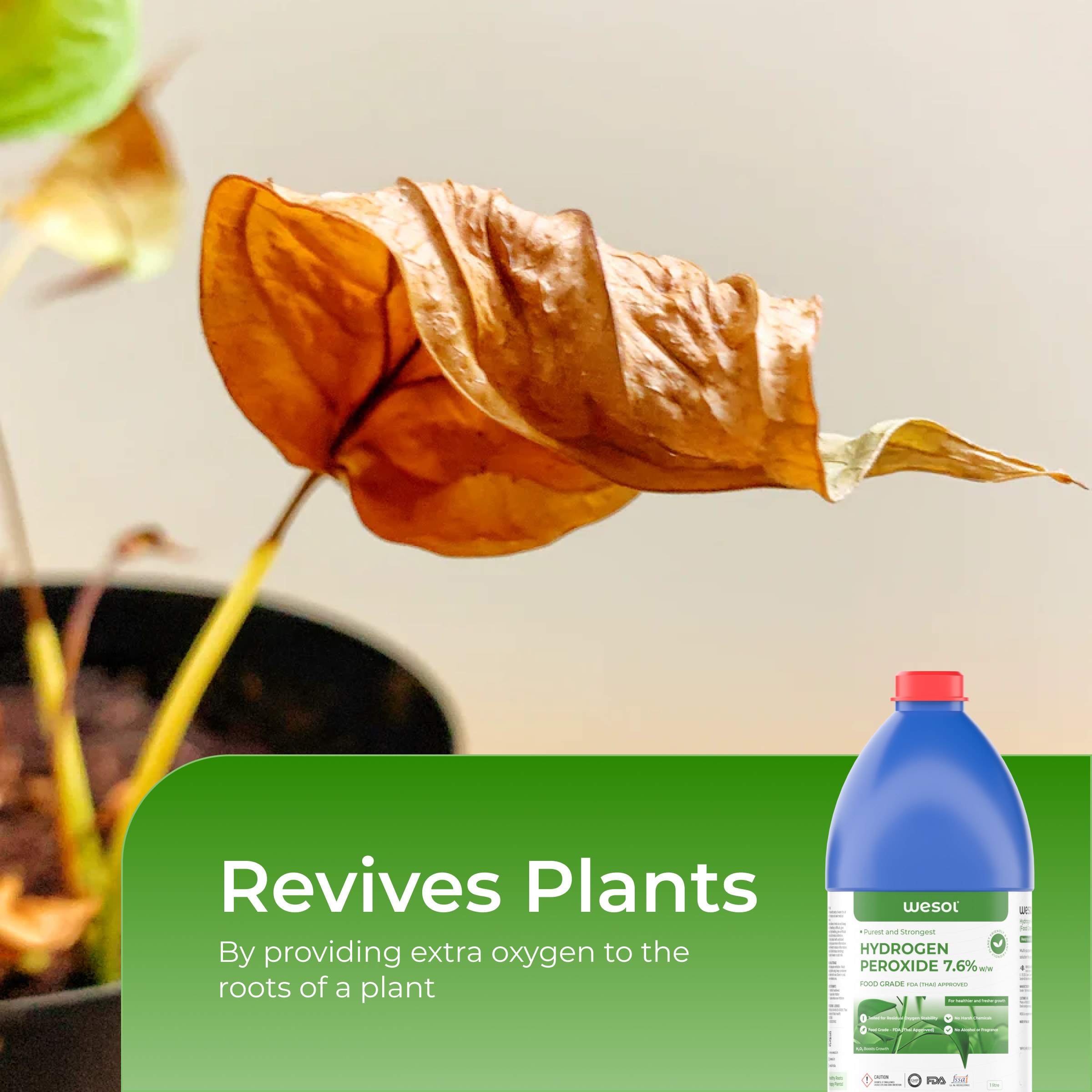 Hydrogen Peroxide 7% for Plants