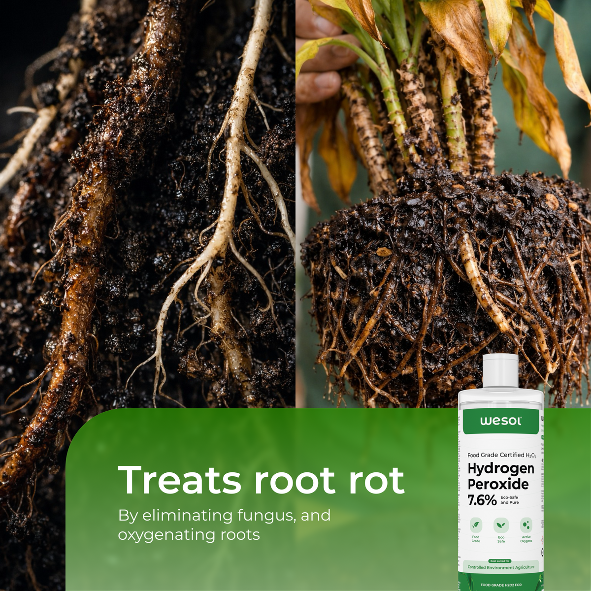 Wesol Hydrogen Peroxide 7% for Plants | 1 Litre
