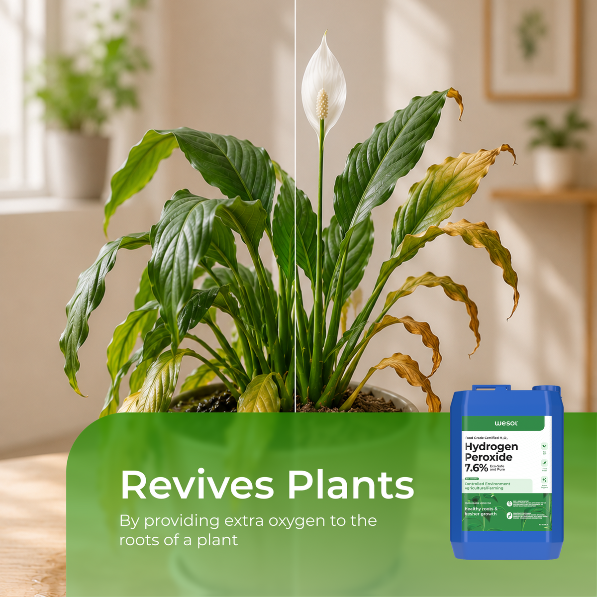 Hydrogen Peroxide 7% for Plants | 5 Litre