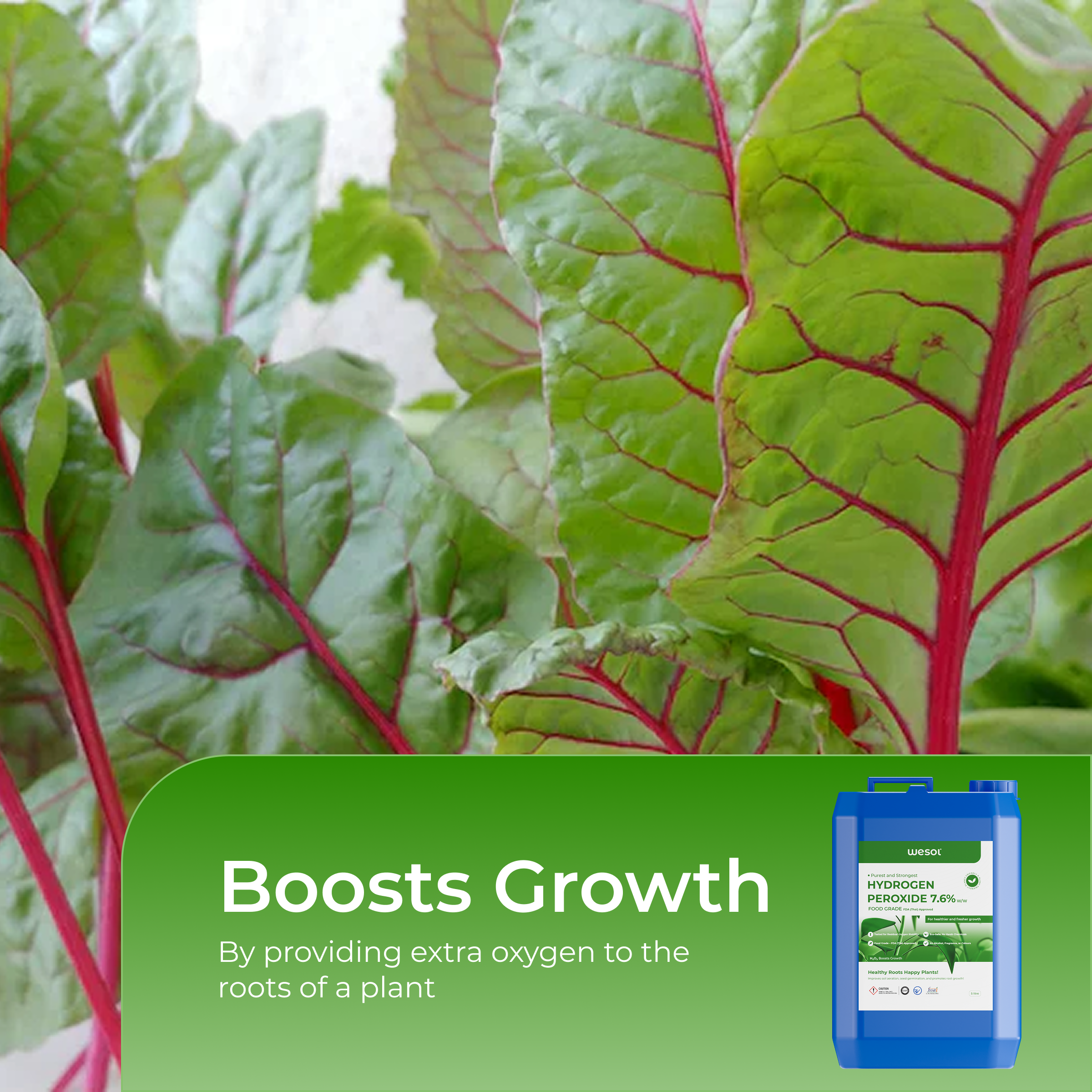 Hydrogen Peroxide 7% for Plants