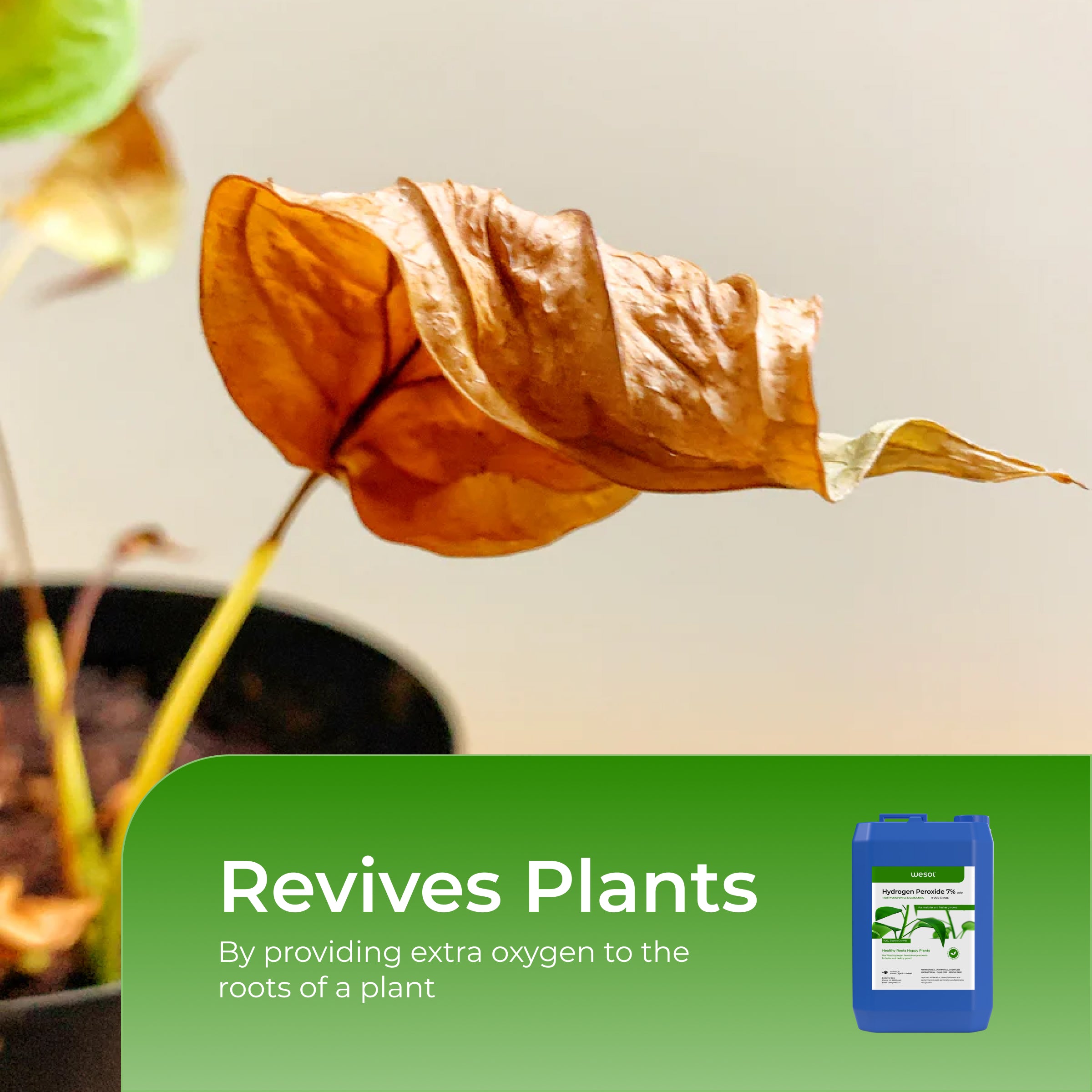 Hydrogen Peroxide 7% for Plants