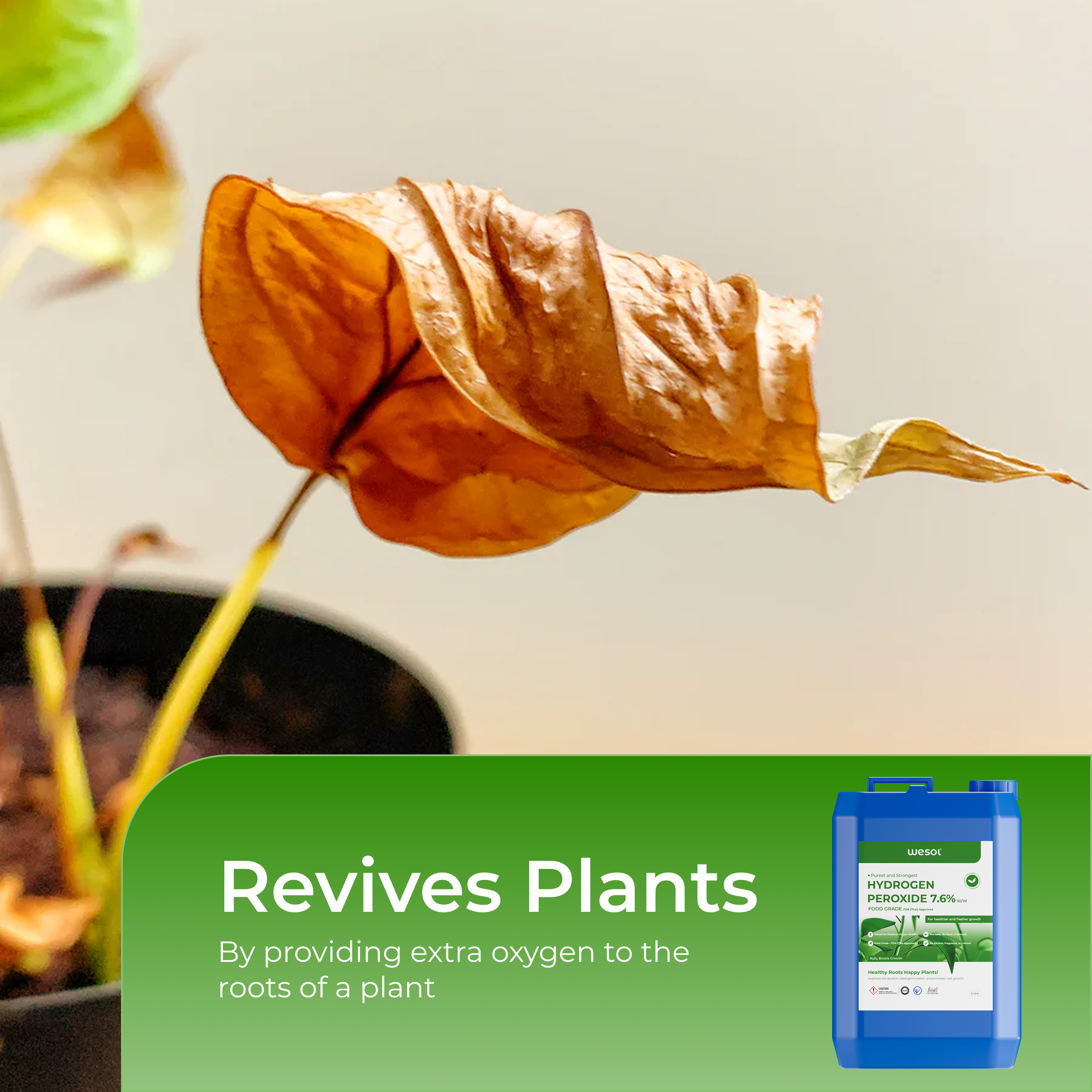 Hydrogen Peroxide 7% for Plants