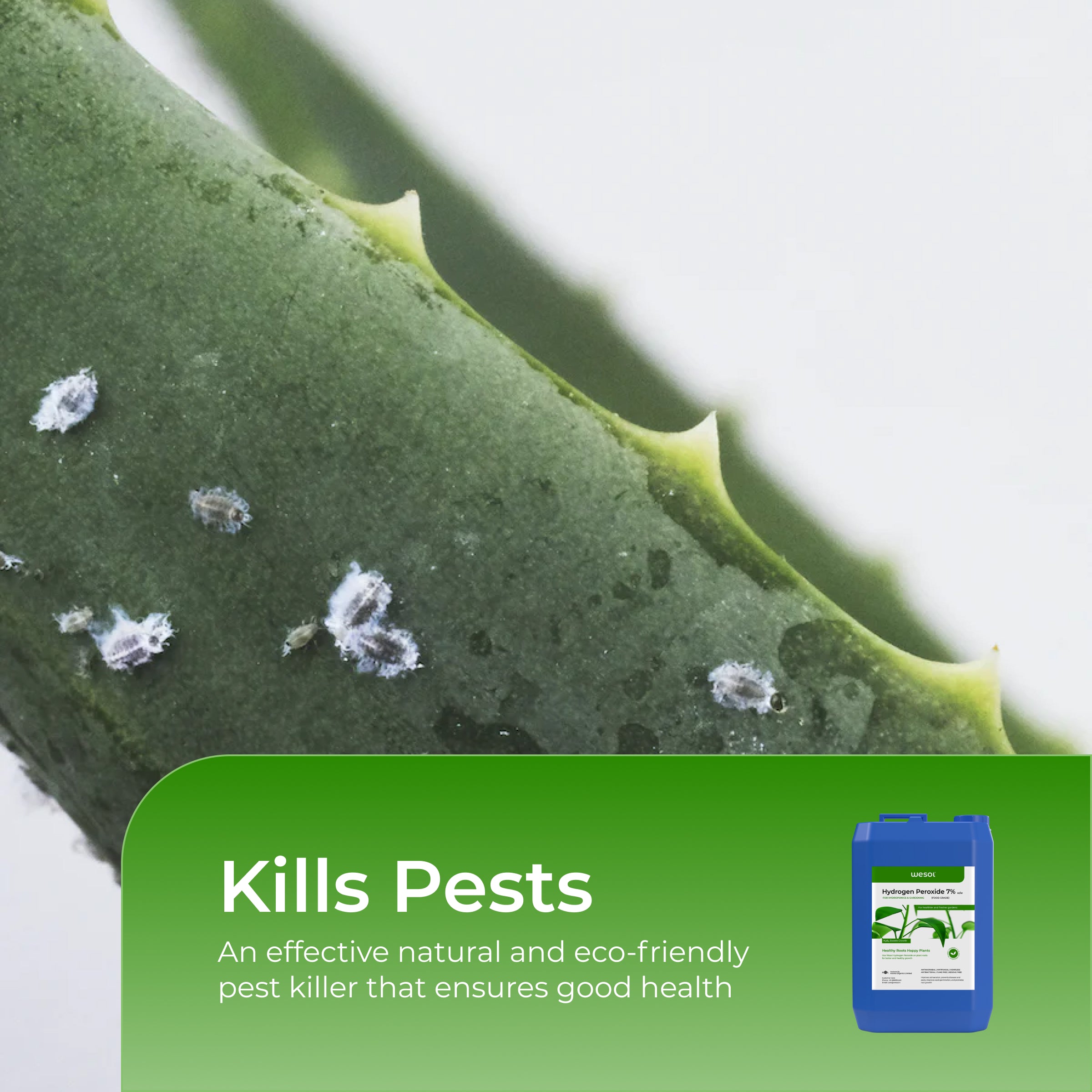Hydrogen Peroxide 7% for Plants